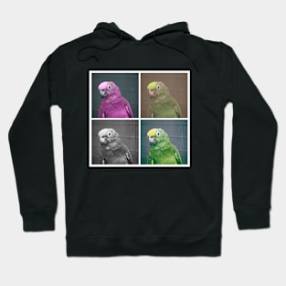Pop Art of Parrots!! Hoodie